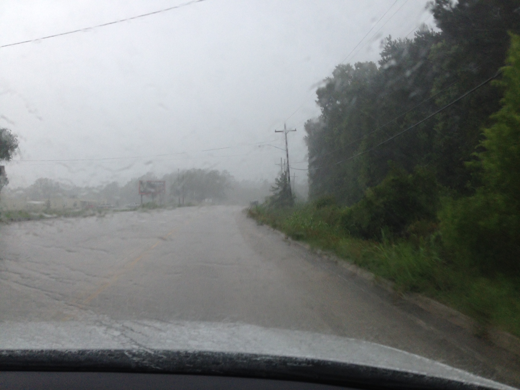 It was so rainy on the first day! I could barely see the road as I drove!